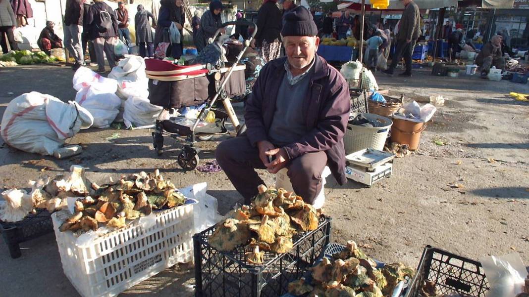 Dağlardan bereket fışkırdı, köylünün yüzü güldü! Kilosu 100 TL'ye kadar düştü 24